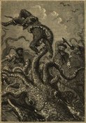 Dibujo antiguo de calamar gigante
